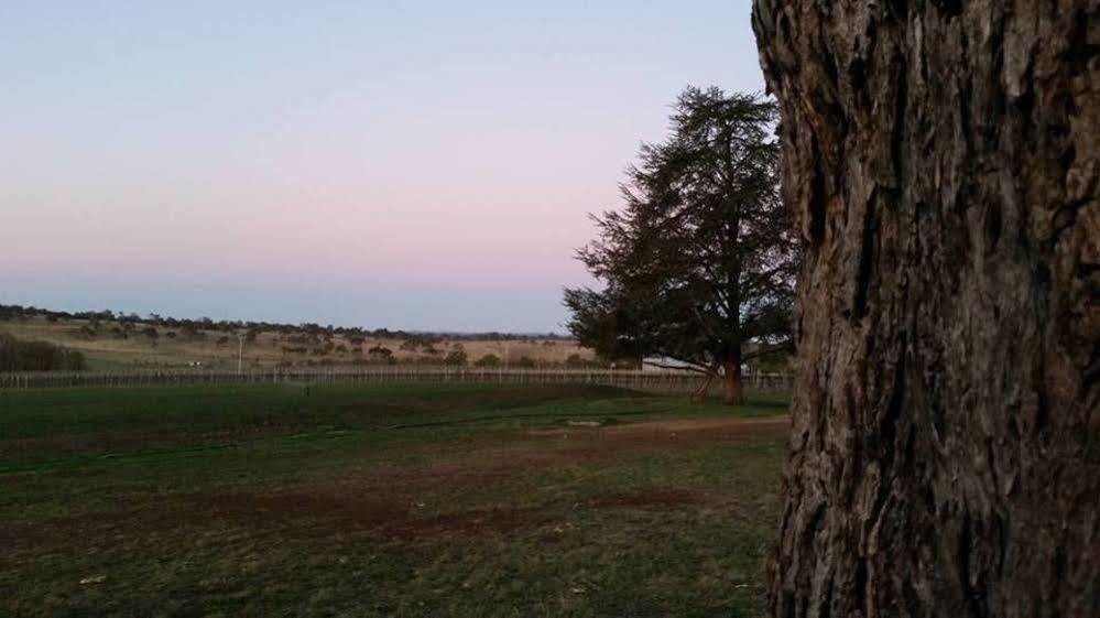 Petersons Armidale Winery And Guesthouse מראה חיצוני תמונה