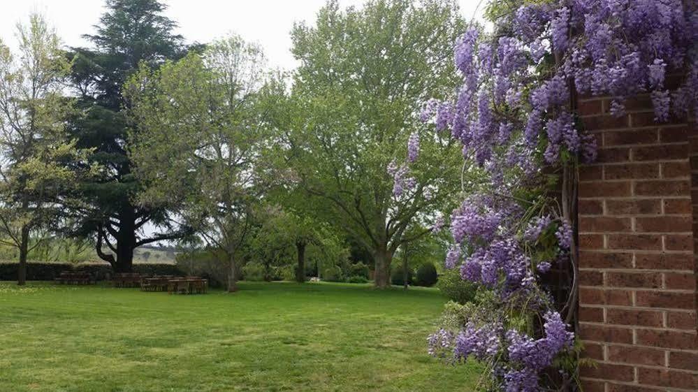 Petersons Armidale Winery And Guesthouse מראה חיצוני תמונה